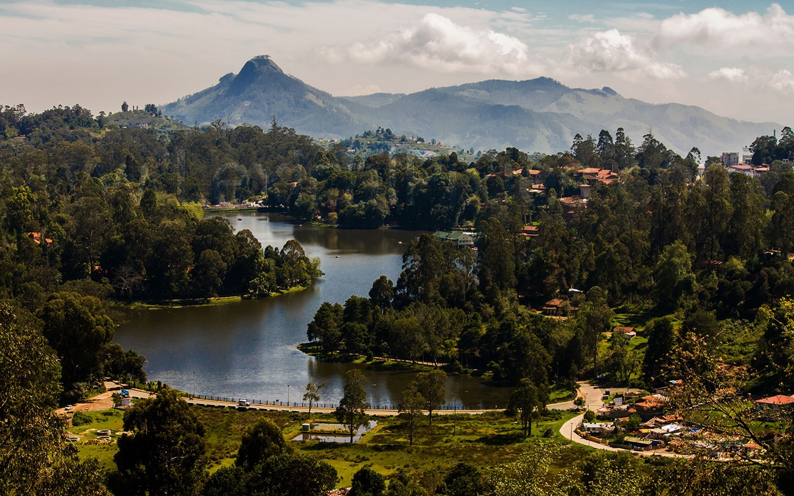 Pillar Coffee Estates